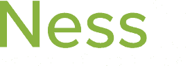 Nessit